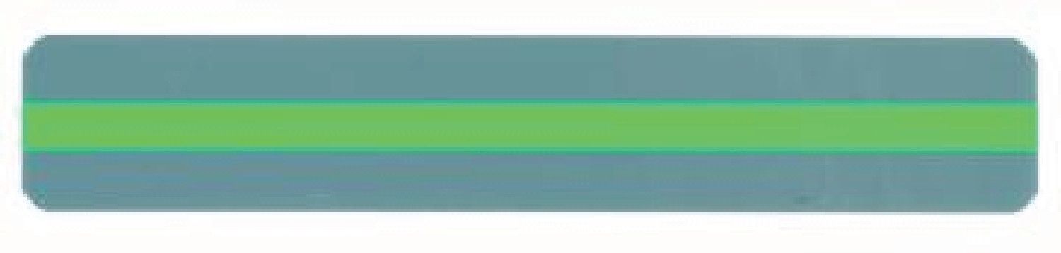 Reading Guide Strip Green