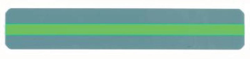 Reading Guide Strip Green