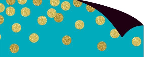 Teal Confetti Magnetic Border