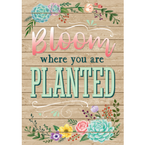 Poster Bloom Where You Are Planted