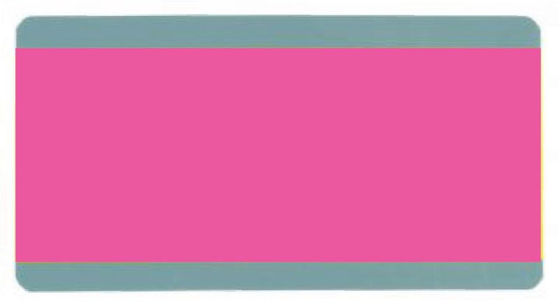 PINK Paragraph Reading Guide