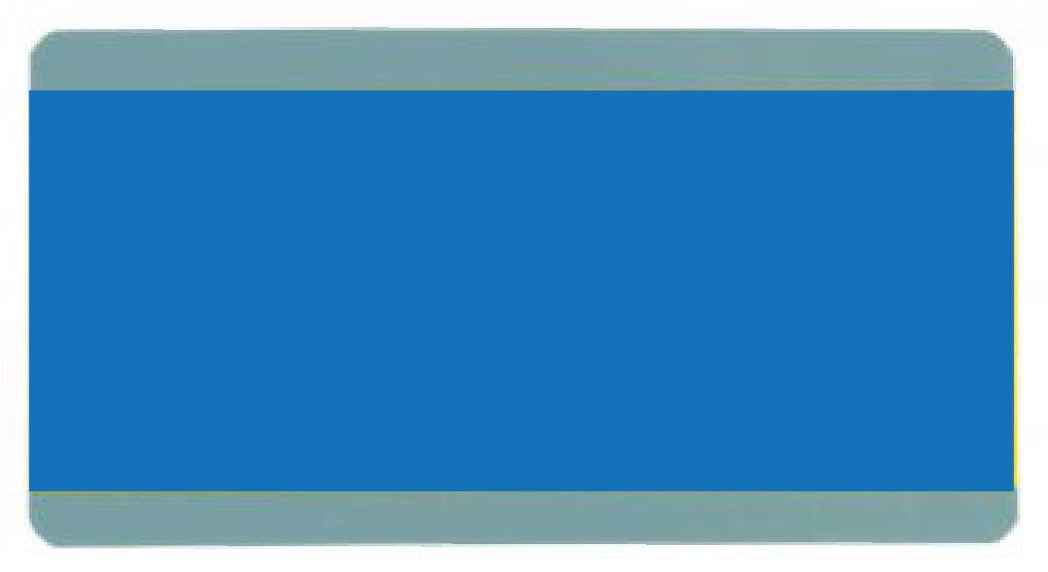 BLUE Paragraph Reading Guide