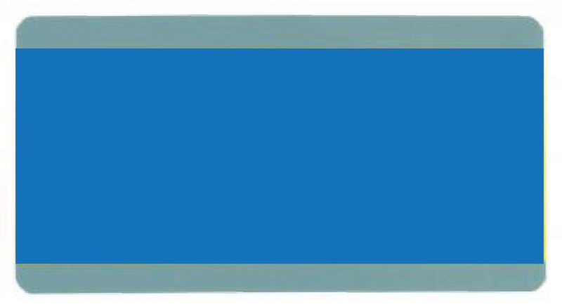 BLUE Paragraph Reading Guide