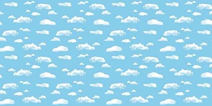 Fadeless Roll 48x12 Clouds