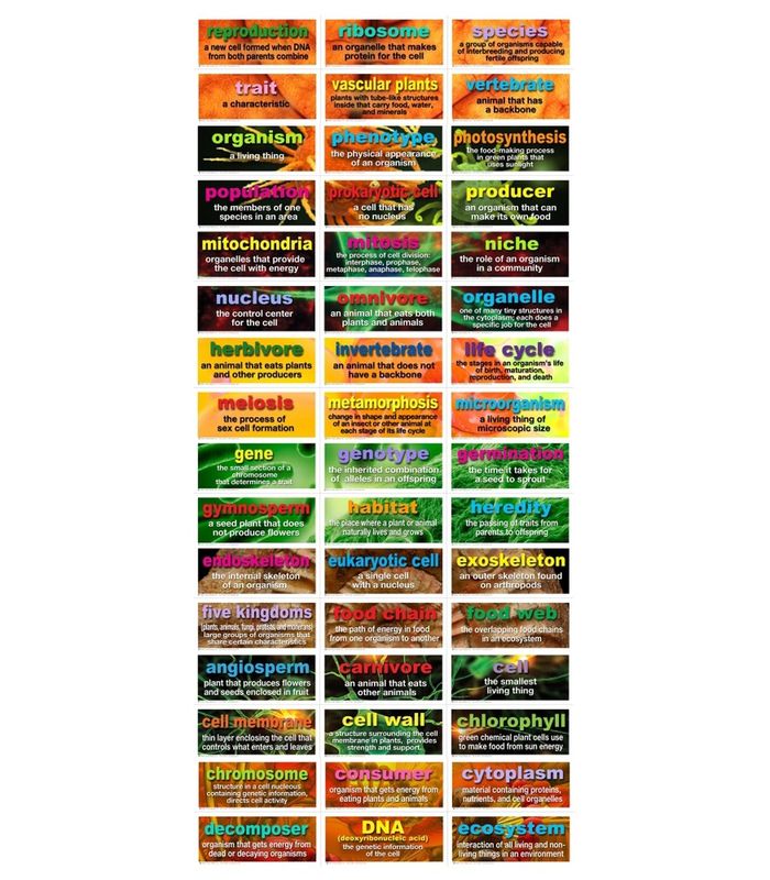 48 Life Science Testing Words Mini Bulletin Board Set