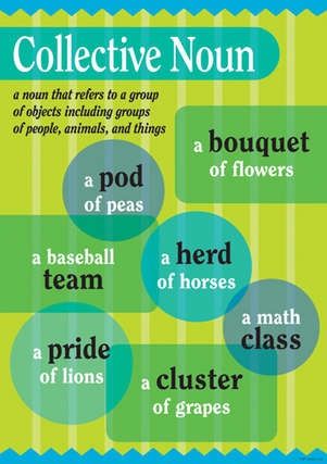 Collective Noun Poster
