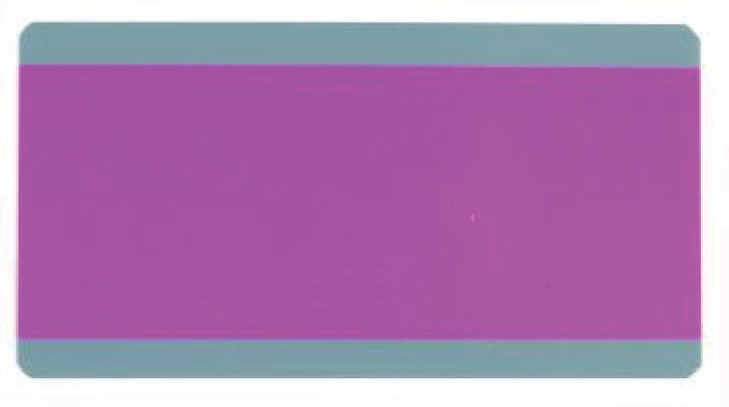 PURPLE Paragraph Reading Guide