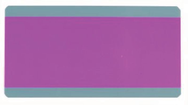 PURPLE Paragraph Reading Guide