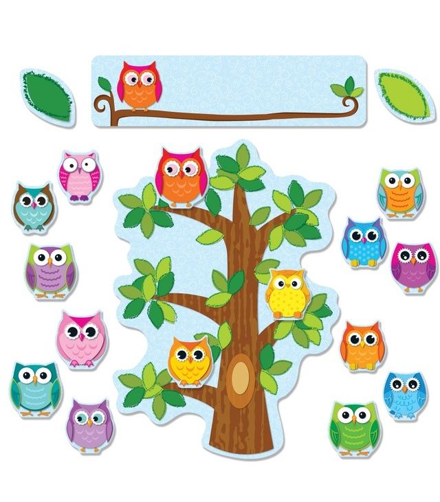 Colorful Owls Behavior BBS