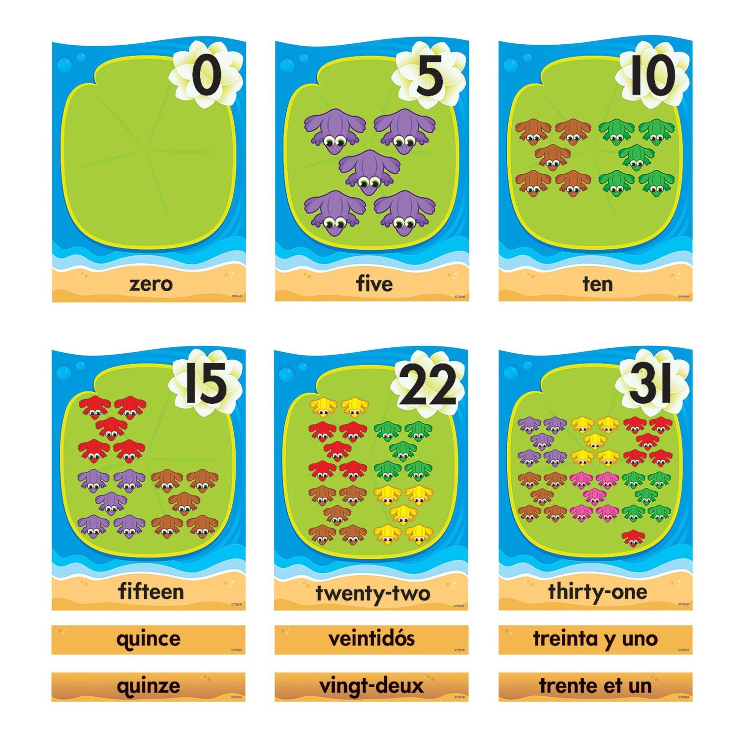 Lily Pad Counting Line 0-31 (English/Spanish/French) Bulletin Board Set