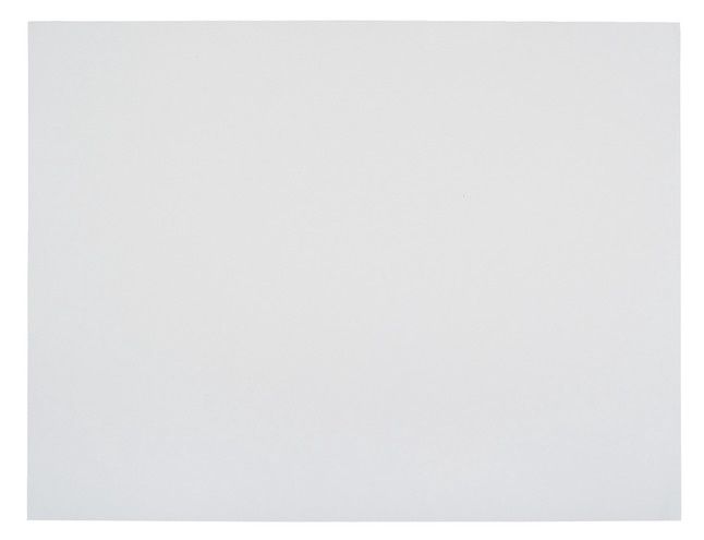White Poster Board 22x28