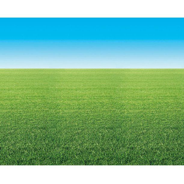 Fadeless Roll 48x12 Summer Horizon
