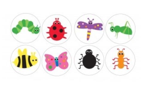 6&quot; Bugs Accents