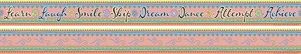 Pink Lemonade 2X Trim Border