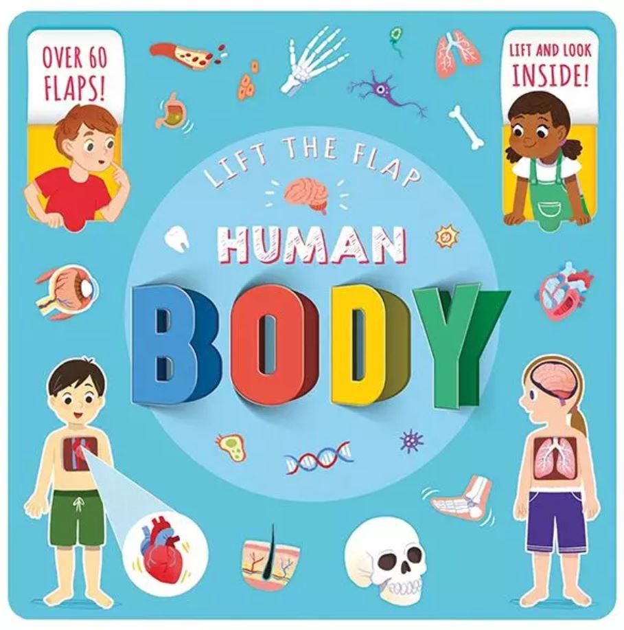 Human Body - Lift the Flap Board Book