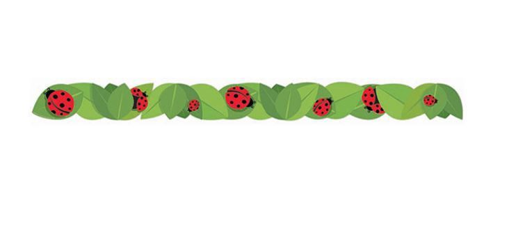 Ladybugs Extra Wide Deco Trim