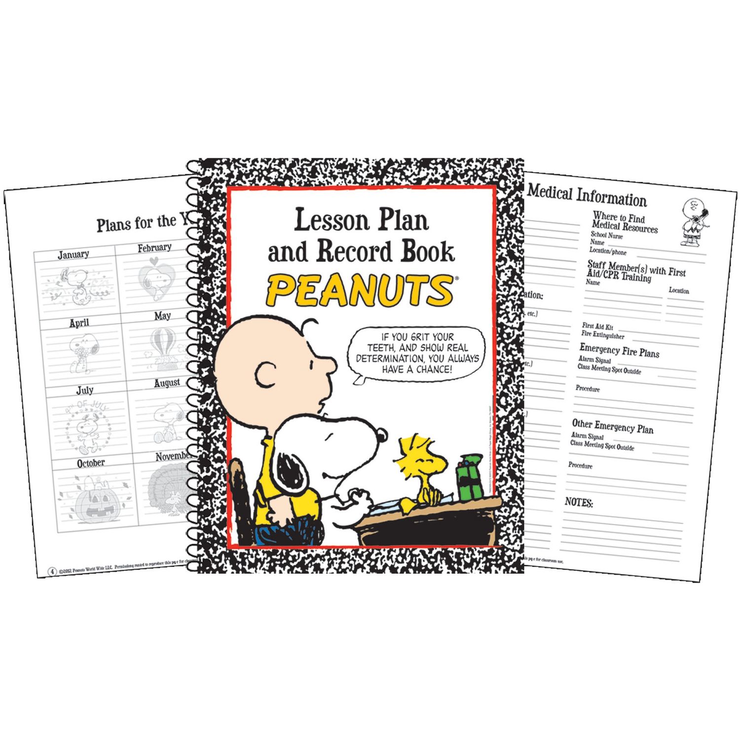 Peanuts Charlie Brown and Snoopy Lesson Plan and Record Book