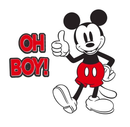 Mickey Mouse Throwback BBS
