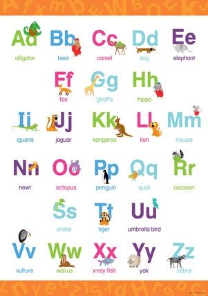 Upper &amp; Lowercase Letters Early Learning Poster