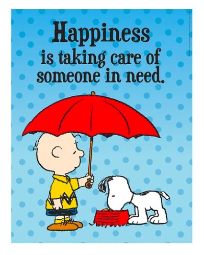 Peanuts Someone in Need Poster