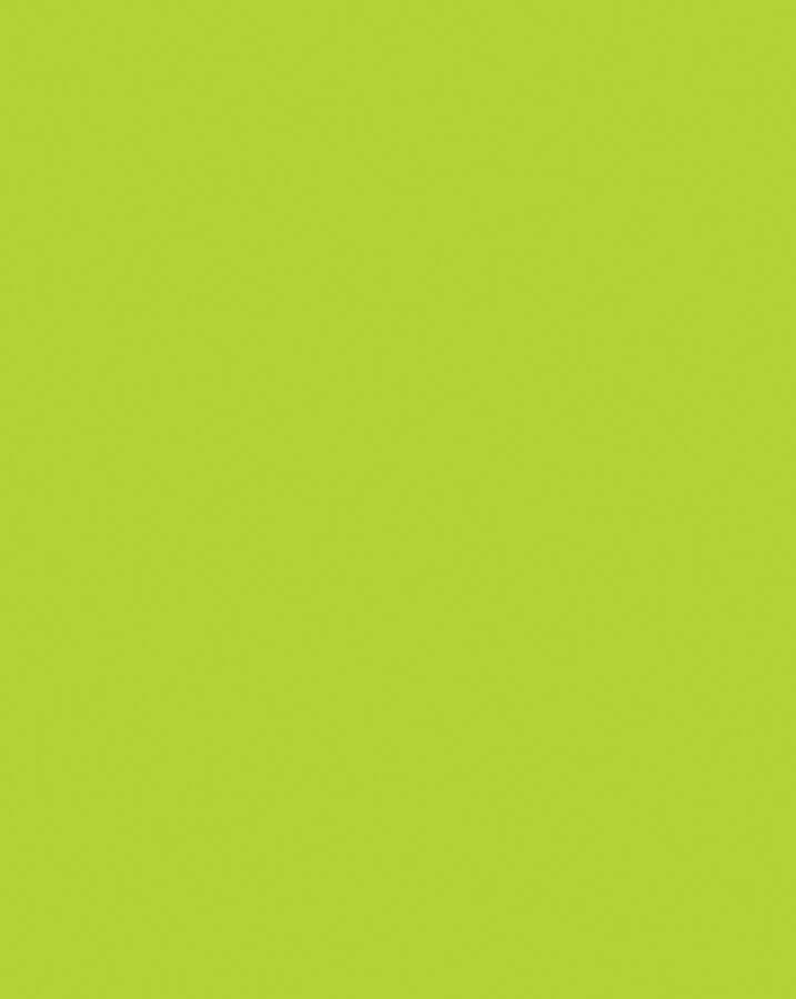 Hot Lime Poster Board 22x28 Coated
