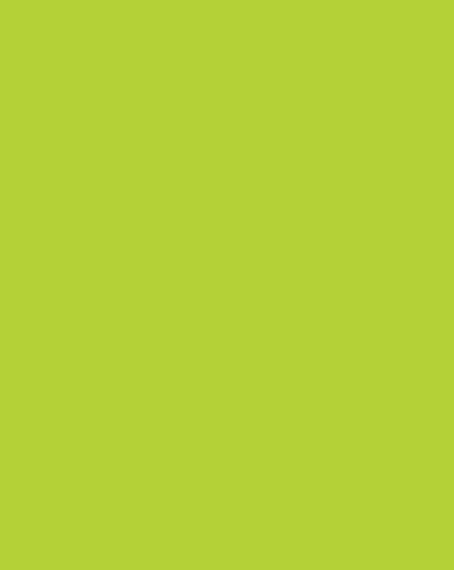 Hot Lime Poster Board 22x28 Coated