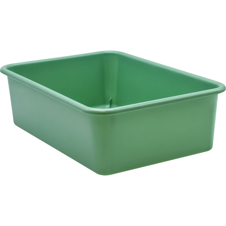 Eucalyptus Green Large Plastic Storage Bin
