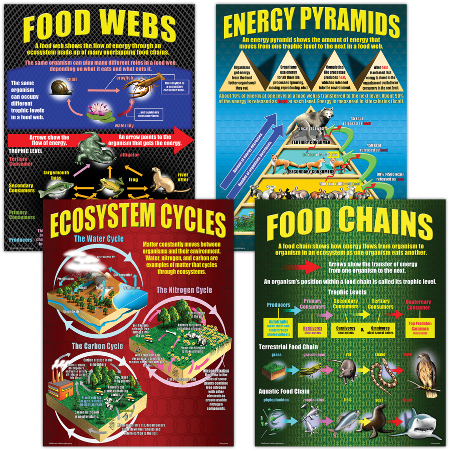 P059 Ecosystems Poster Set