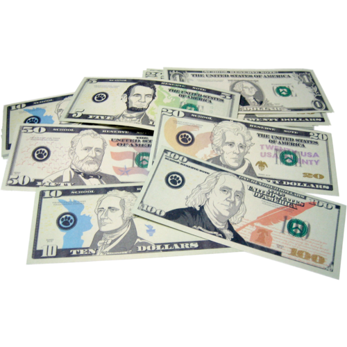 Play Money: Assorted Bills