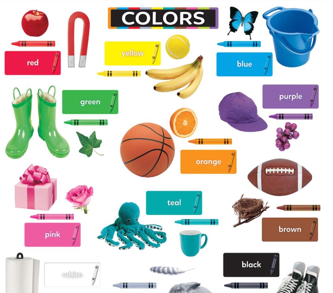 Colors All Around Us Learning Set