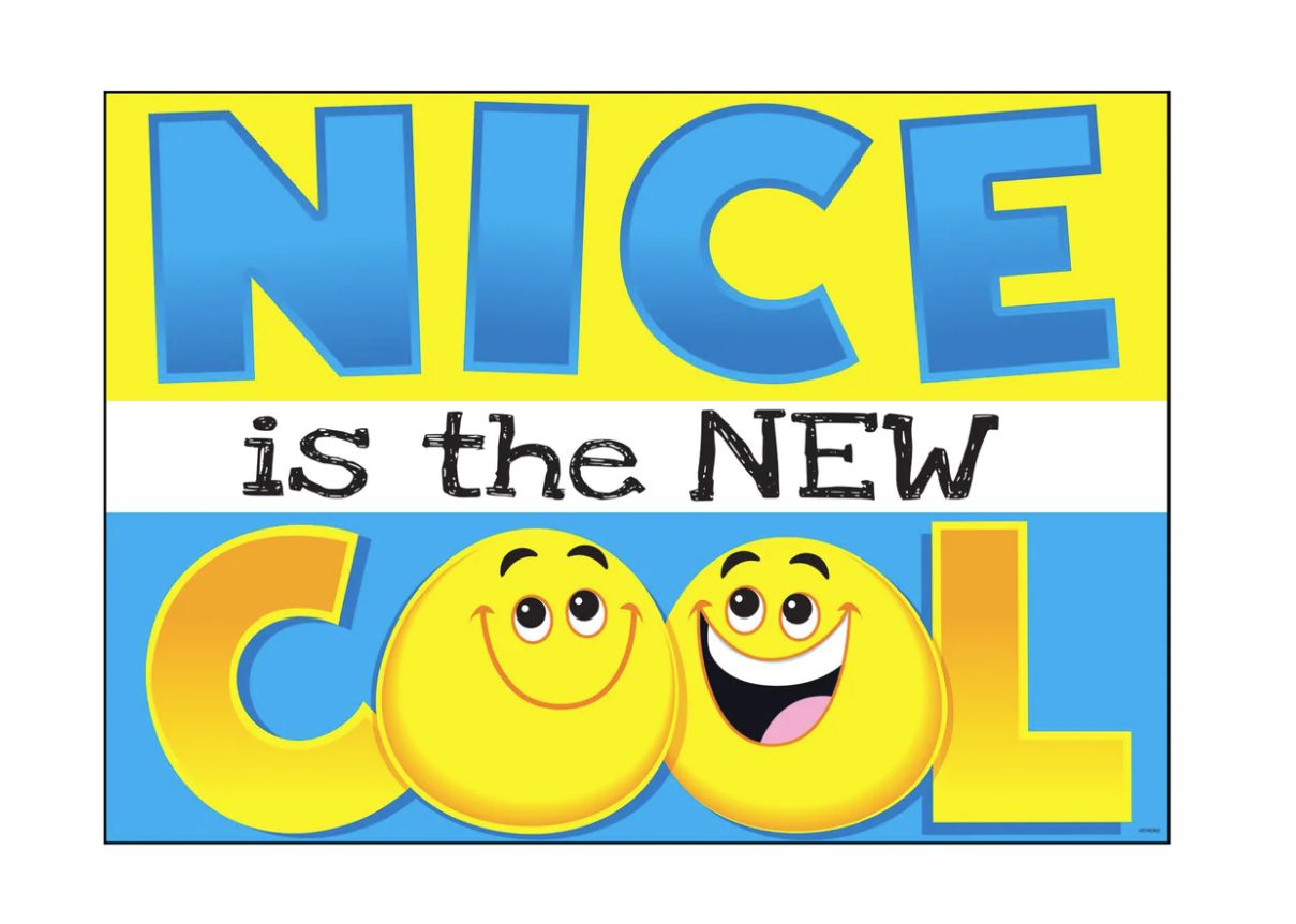 Nice is the New Cool Poster