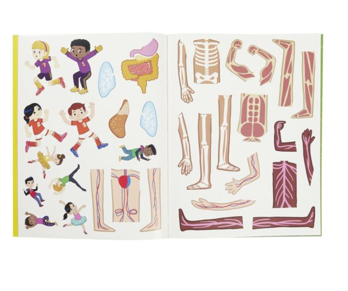 Jumbo Stickers for Little Hands Book - Human Body
