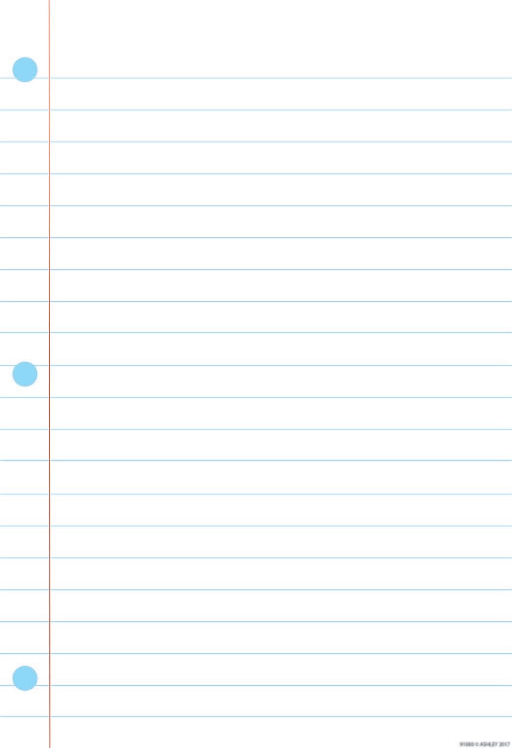 13x19 Notebook Page Poly Chart