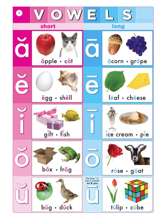 Vowels Phonics, 13&quot; X 19&quot; Smart Poly Chart