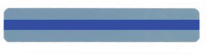 Reading Guide Strip Blue
