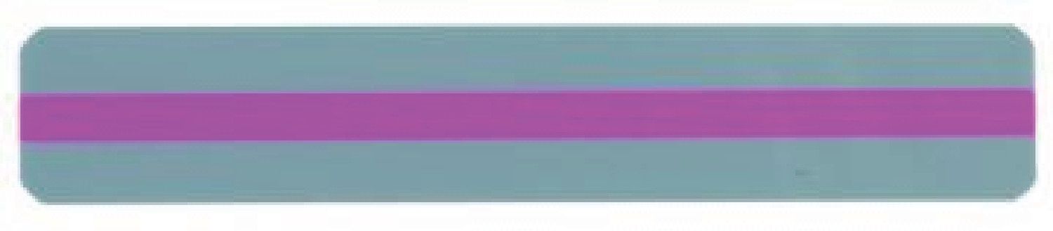 Reading Guide Strip Purple