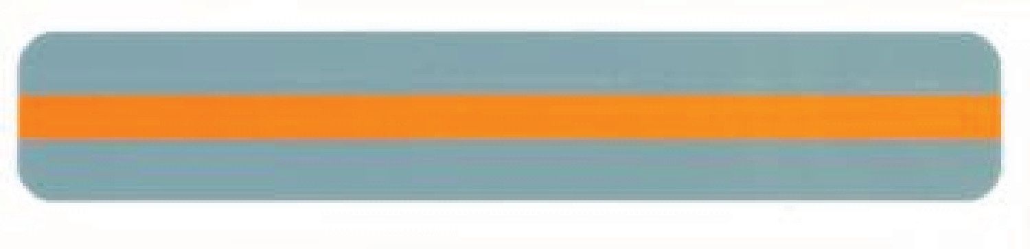 Reading Guide Strip Orange