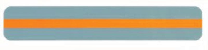 Reading Guide Strip Orange