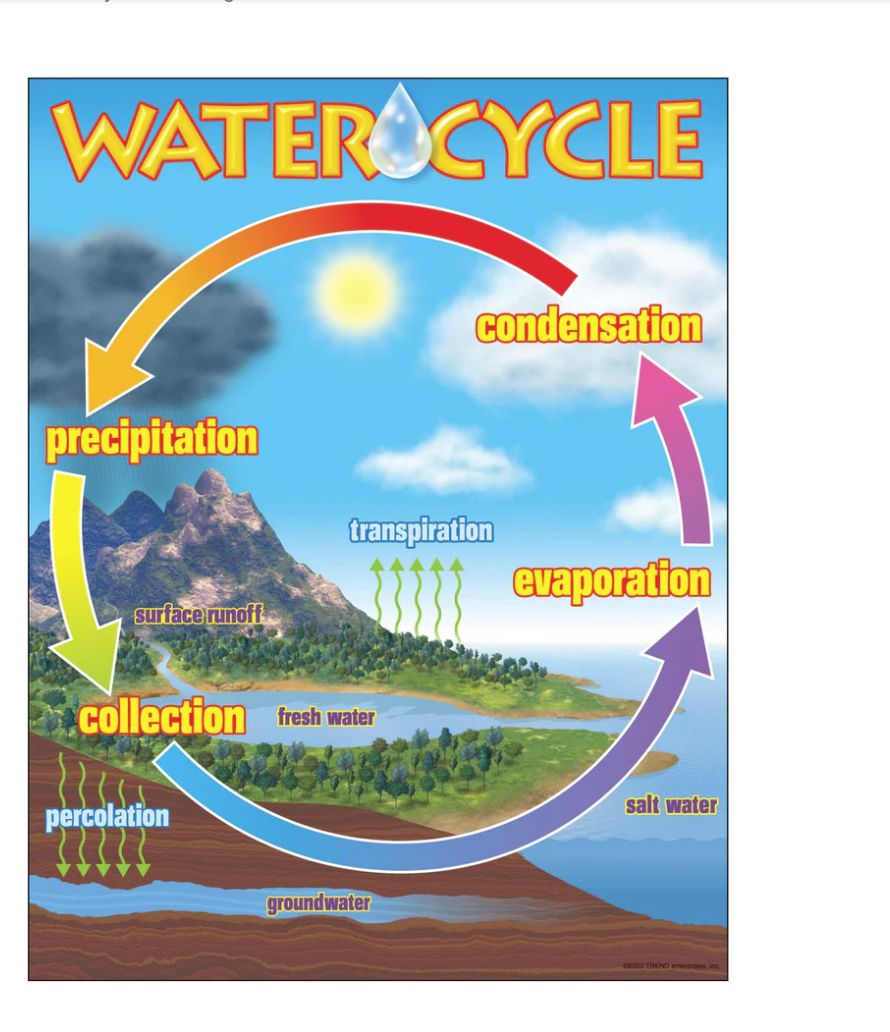 The Water Cycle Learning Chart