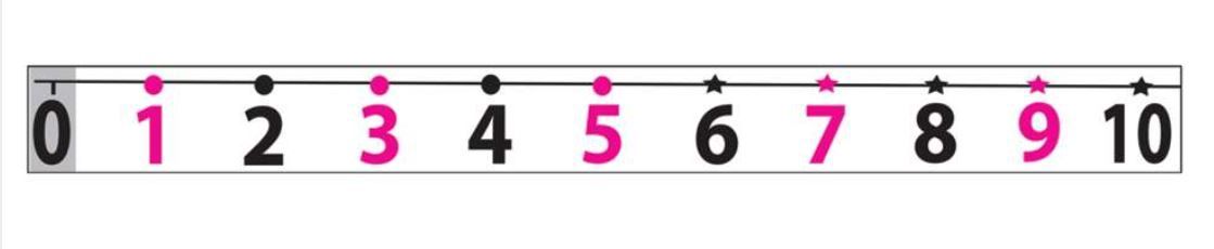 Magnetic Number Line
