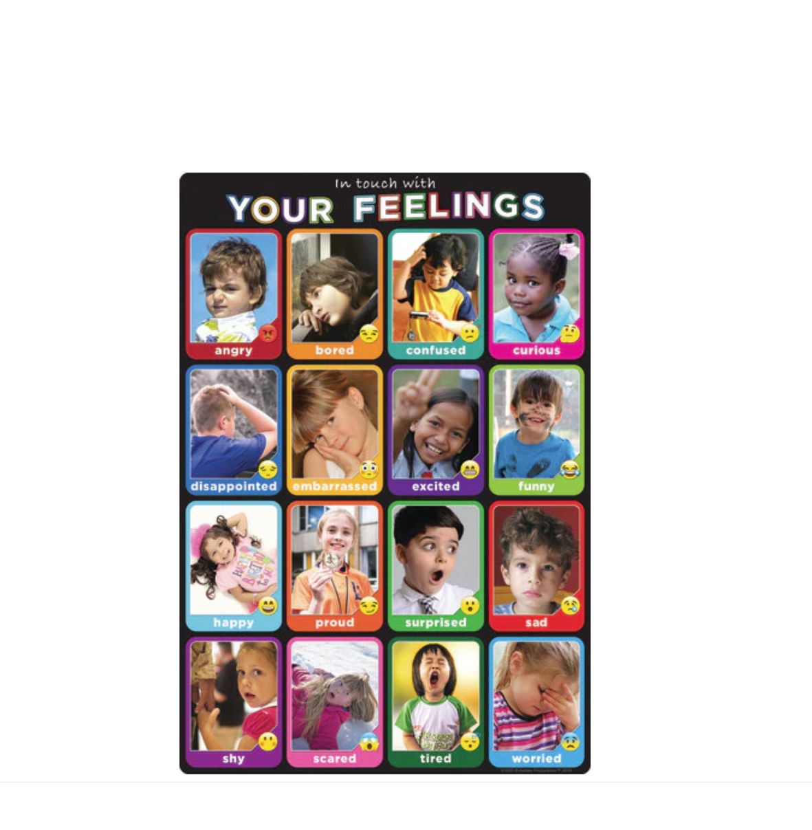 Emotions Photographs 13&quot; X 19&quot; Smart Poly Chart