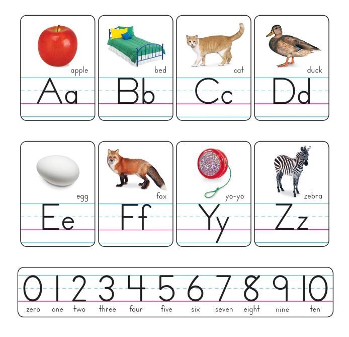 Photo Alphabet Cards Manuscript BBS