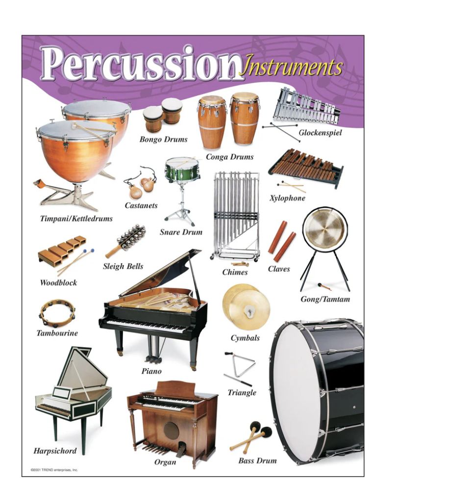 Percussion Instruments Learning Chart
