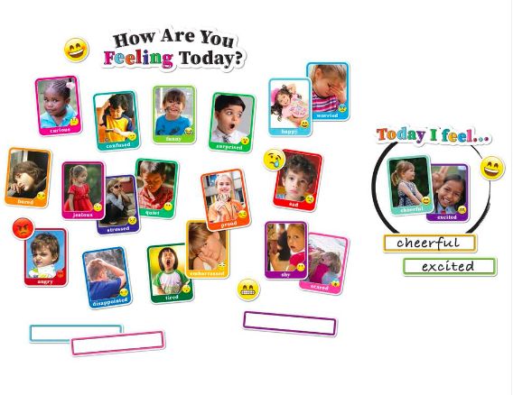 How are you Feeling? Smart Poly Mini BBS