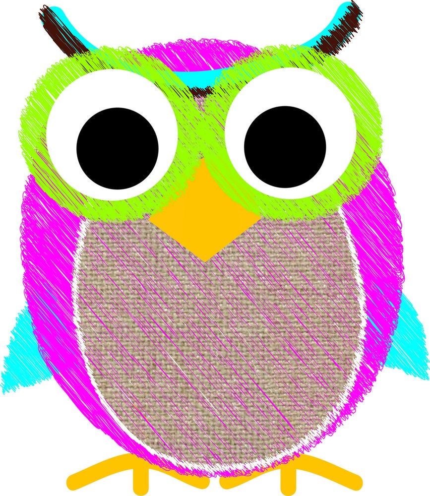 Burlap Owl Magnetic Eraser
