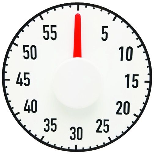10205 Big Timer Magnetic