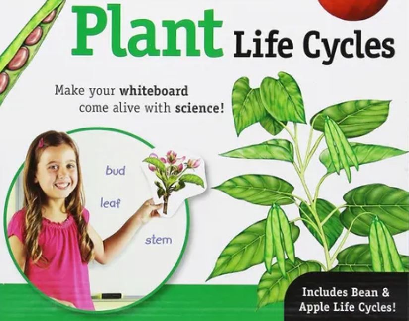 Giant Magnetic Plant Life Cycle