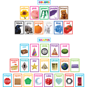 Colorful Photo Shapes &amp;amp; Colors Cards Bulletin Board