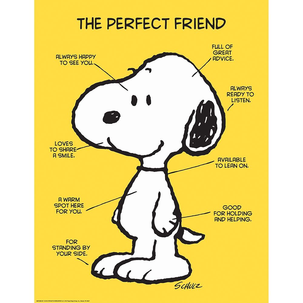 Peanuts Classic Perfect Friend Poster 17x22