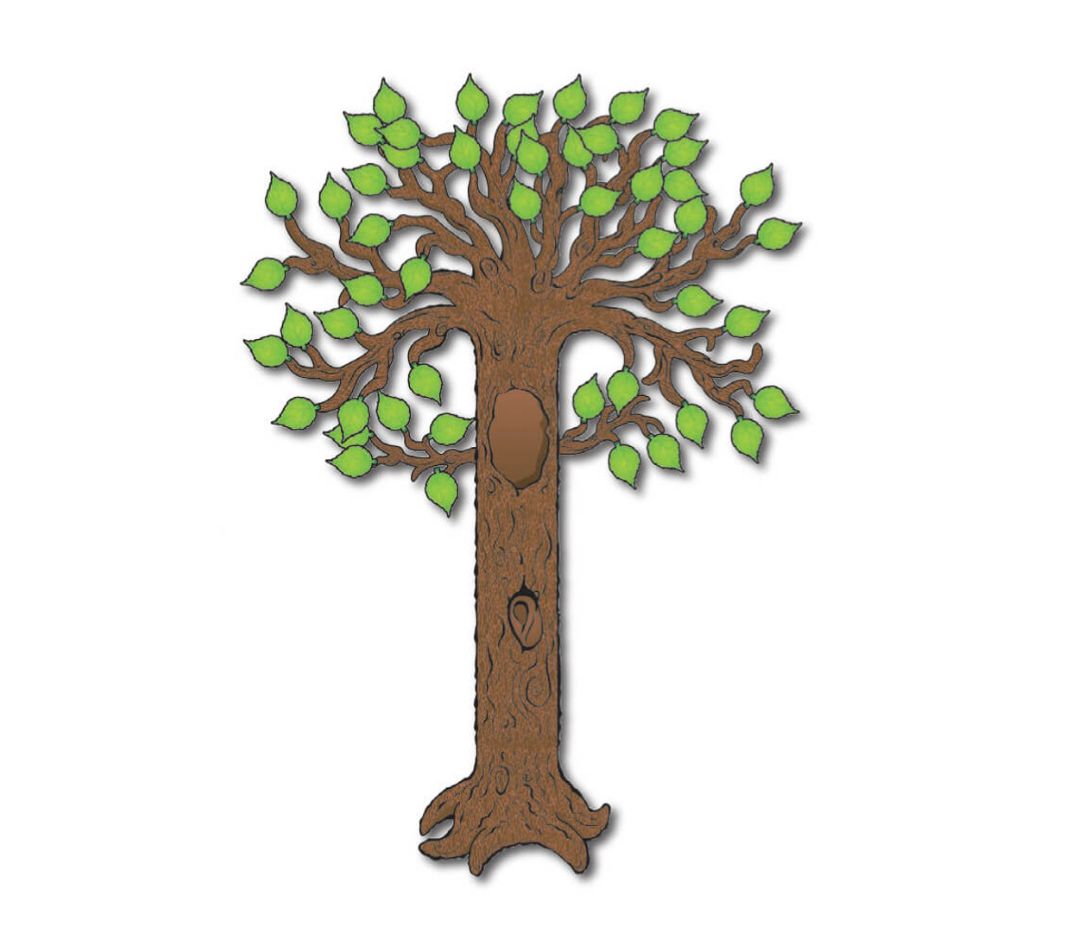 Big Tree Classic Bulletin Board Set Grade PK-5